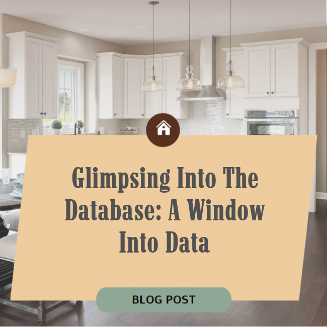 Glimpsing Into the Database: A Window Into Data