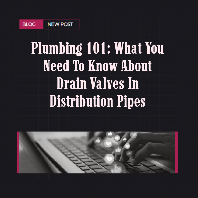 Plumbing 101: What You Need to Know About Drain Valves in Distribution Pipes