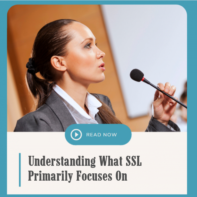 Understanding What SSL Primarily Focuses On