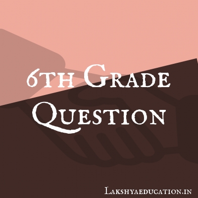 6th grade Questions