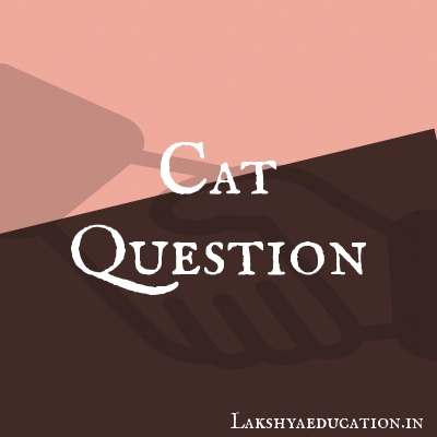 cat Questions